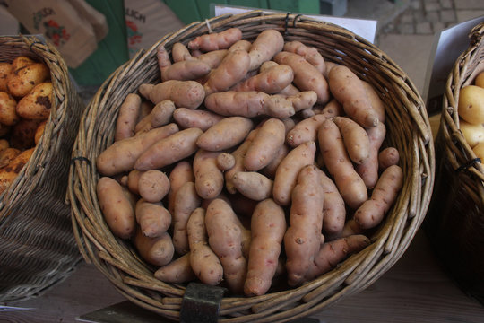 Gourmet potatoes from franconia, Bamberger H&ouml;rnchen., in a wicker basket. 