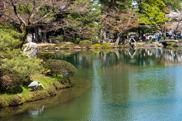 Fototapeta na wymiar 金沢の春　兼六園でお花見　※現在に風景とは違います