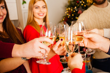 People toasting to celebrate event enjoying winter holidays