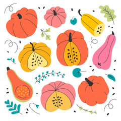 Set of various shape and color pumpkins made as collection of cute cartoon style hand drawn vector illustrations isolated on white background. Autumn symbol vegetable for halloween or thanksgiving.
