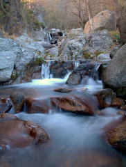 River in the forest of Catalonia