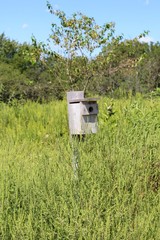 The old wood birdhouse in the tall grass field.