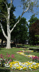 park in spring with flowers