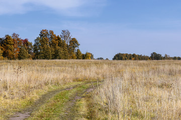 The road in the field stretching into the distance.