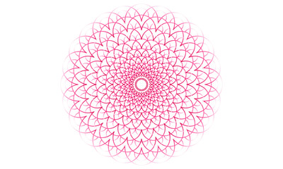 Line pink mandala pattern on white background