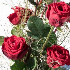 Four Red Naomi roses in a beautiful flower bouquet.