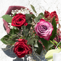 Variety of roses, Red Naomi and Deep purple, with green leaves in a beautiful floral bouquet. The bunch of flowers are arranged in a violet sleeve.