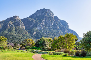 Kirstenbosch National Botanical Gardens, Cape Town, South Africa.