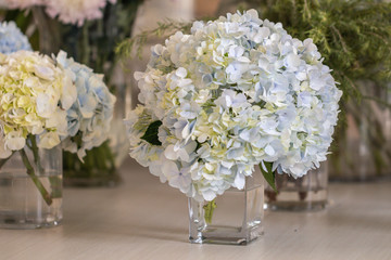 Vase with beautiful blue hydrangea flowers on a wooden table.