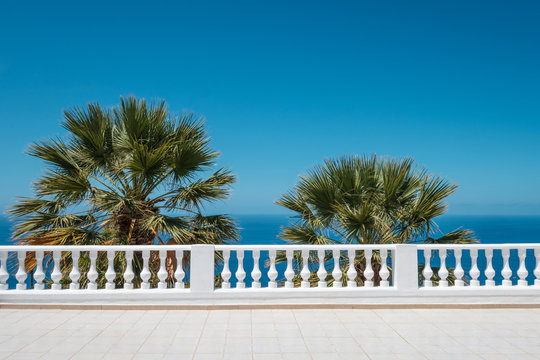 ocean view terrace with blue sky and palm tree background -