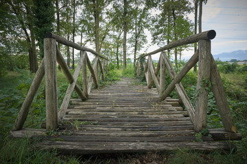 Ponte di legno