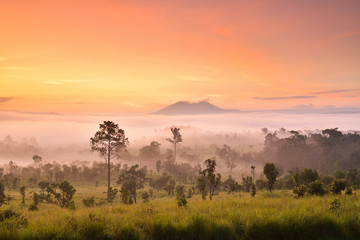 Misty morning sunrise at Thung Salaeng Luang National Park, Phetchabon, Thailand. Beautiful landscape of foggy sunrise in grassland savannah. Thung Salaeng Luang is grassland savannah in Thailand. 