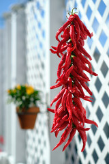 Cayenne Peppers Drying