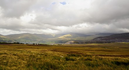 Naklejka na ściany i meble Beautiful Highland Pasture in Wales