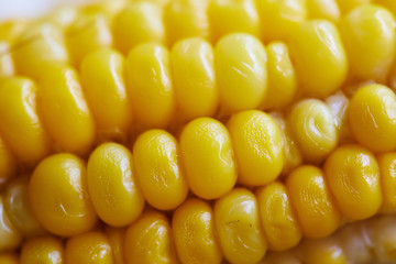 Close up of Thai yellow sweet corn