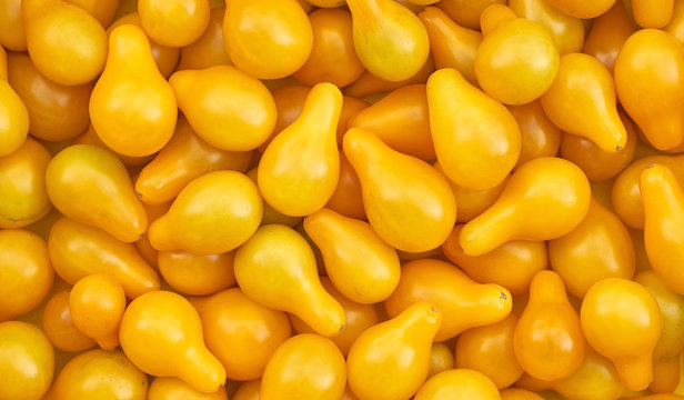 small yellow tomatoes of unusual shape background