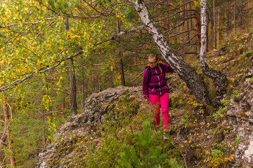 Naklejka na ściany i meble female hiker trekking in the autumn forest