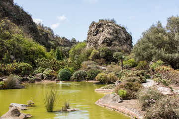 Botanischer Garten auf Gran Canaria