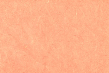 Empty vintage paper texture. Craft and old look.