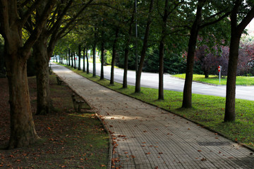 Urban park in the suburbs