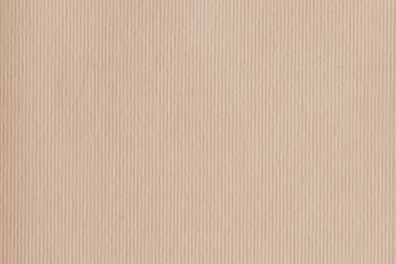 Empty vintage paper texture. Craft and old look.