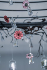 Selective focus  Gerbera daisy flowers in glass bottles hang on the air.Home decoration concept.