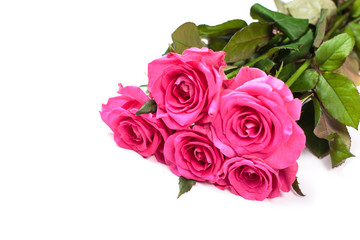 Beautiful rose flowers bunch isolated on white background