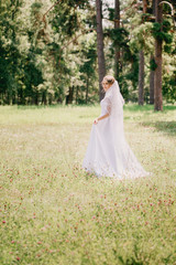 beautiful bride in veil in the park in the meadow