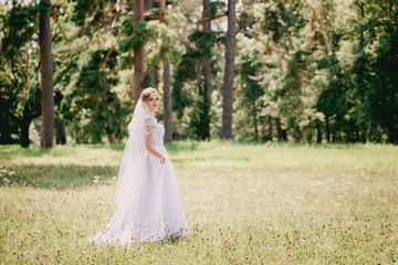 bride in veil in the park in the meadow
