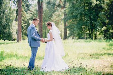The bride and groom walk in the meadow