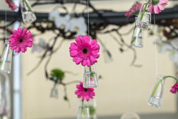 Selective focus Gerbera daisy flowers in glass bottles hang on the air.Home decoration concept.