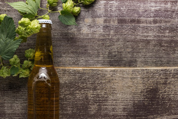 top view of fresh beer in bottle with hop on wooden background