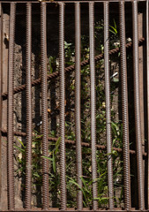 a rusty metal fence lies on the ground, a shadow beneath it. The sun shines brightly.