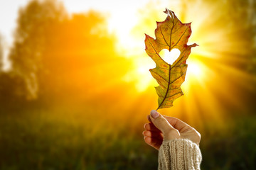 Autumn background with leaf held in woman's hand and with beautiful gold sunlight. Heart cut in...