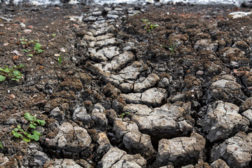 Dry surface of the earth texture cracked. soil background ground mix with sea water, it is land in dry season. Global warming, drought concept.