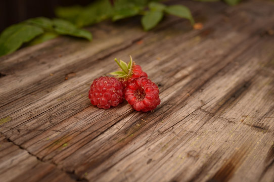 Appetizing ripe raspberries lie on a wooden surface and are painted with leaves. Photo taken on a sunny summer day and processed in warm colors.