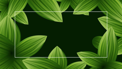 Dark green background with light floral leaves
