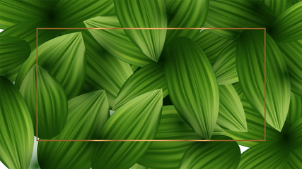 Dark green background with light floral leaves