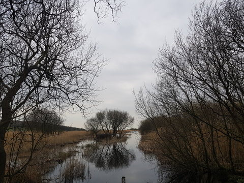 Leighton Moss Marsh View