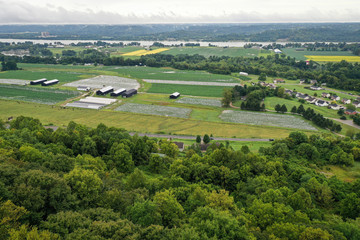 Fototapeta na wymiar Hemp Farm Aerial Image