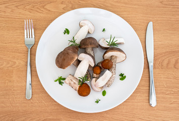 Wild fresh edible mushrooms on white plate and wooden table