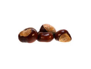 chestnut isolated on white background