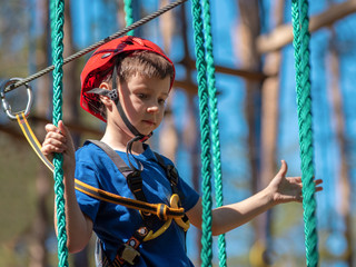 Child in forest adventure park. Kid in red helmet and blue t shirt climbs on high rope trail. Agility skills and climbing outdoor amusement center for children. Young boy plays outdoors.