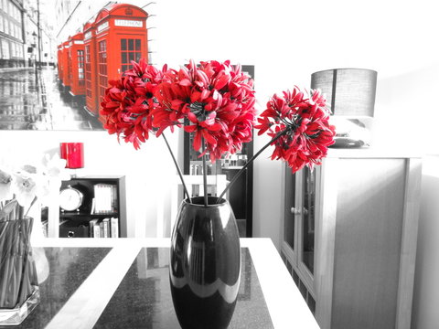 Red and Black Scene