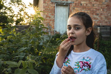 Fototapeta premium Half length portrait of little happy brunette girl in white t-shirt that eating the raspberry that she gathered in the backyard garden