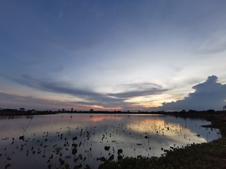 Naklejka premium sunset over the lake