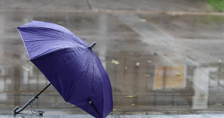 rain drops falling on umbrella. Purple umbrella on the floor with heavy rain, storm, wind, natural disaster,