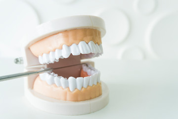 Fototapeta na wymiar White teeth model and dental instruments on the white table