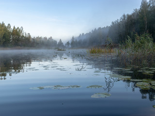 Obraz premium picture from the lake, early morning, water fog, abstract lake grass in the foreground