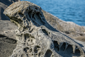 Eroded and sculpted beach sandstone